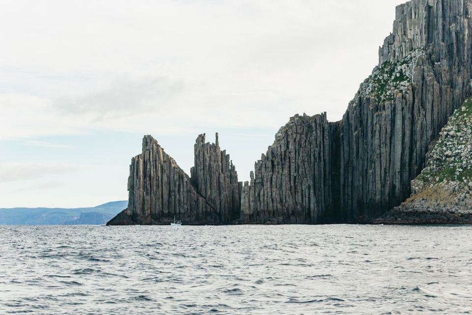 From Port Arthur: Tasman Island Wilderness Cruise - Should you book the Port Arthur to Tasman Island wilderness cruise?