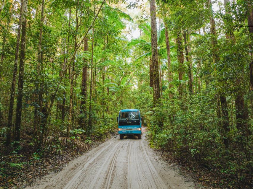 From Rainbow Beach: K'gari Fraser Island Full-Day Coach Tour - Lunch at K’gari Beach Resort: good, but manage expectations