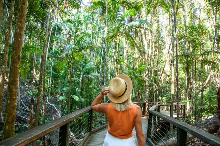 From Rainbow Beach: K'gari Fraser Island Full-Day Coach Tour - Lake McKenzie swim time: why it’s the island’s best reset button