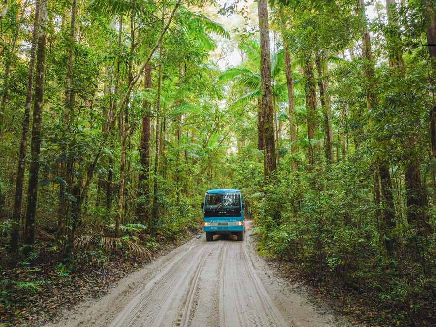 From Rainbow Beach: K'gari Fraser Island Full-Day Coach Tour - Maheno shipwreck: the photo stop that actually tells a story