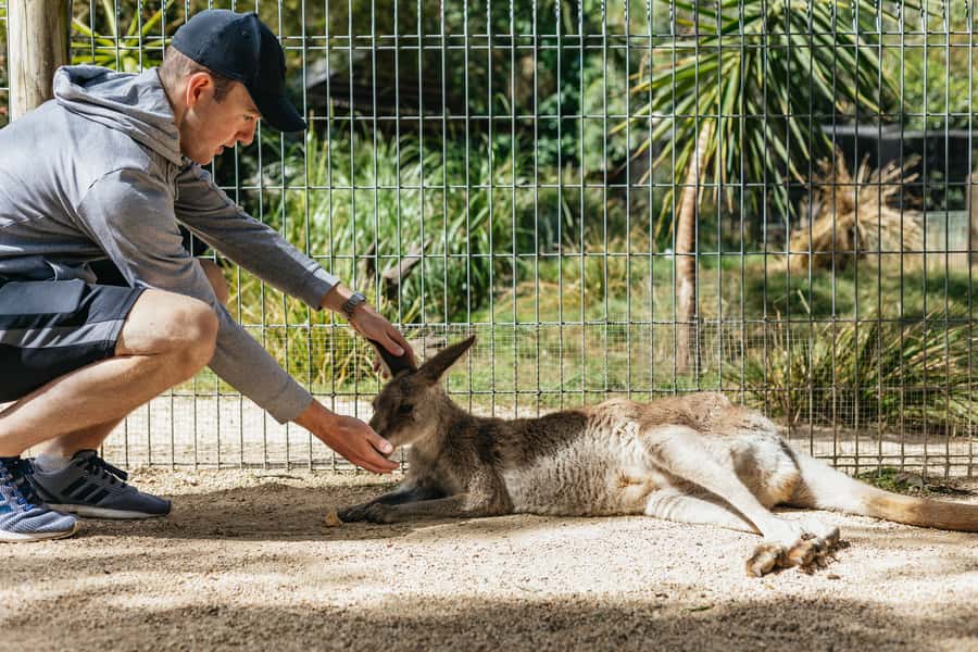 From Sydney: Blue Mountains Full-Day Trip - Sydney Hotel Pickup to Blue Mountains Morning Start