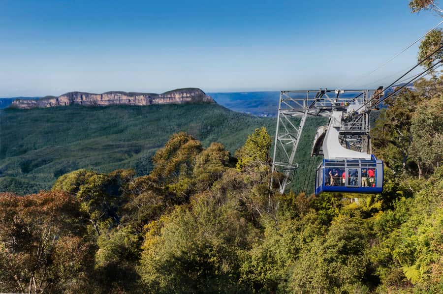 From Sydney: Blue Mountains, Scenic World, Zoo, & Ferry Ride - Who Should Book This Blue Mountains + Zoo Combo