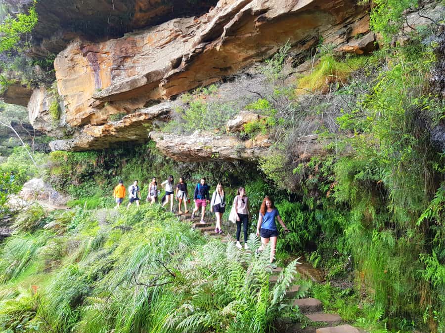 From Sydney: Blue Mountains Tour with Waterfall Walk & Lunch - Wentworth Falls: 90 Minutes, Real Water, and the Optional Bottom-Of-The-Falls Stairs