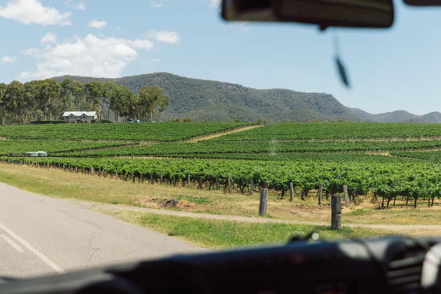 From Sydney: Full-Day Hunter Valley Wine Tour & Lunch - Quick highlights