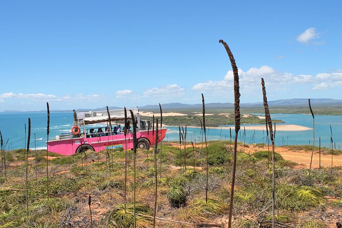Full-Day 1770 Tour by LARC Amphibious Vehicle Including Sandboarding and Bustard Head Lightstation - Middle Island lunch and the sandboarding decision