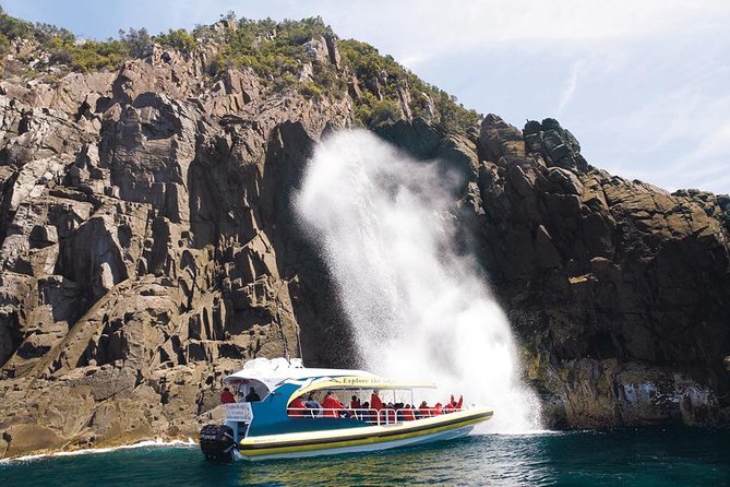 Full-Day Bruny Island Cruises Day Tour from Hobart - Franklin Wharf start: the easiest way to launch your Bruny day