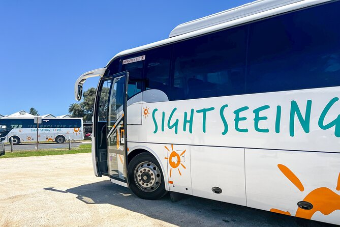 Full-Day Great Ocean Road and 12 Apostles Tour - Colac rest stop: the practical breather