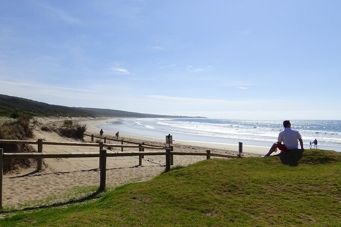 Full-Day Great Ocean Road and 12 Apostles Tour - What you’re paying $71.01 for (and why it’s solid value)