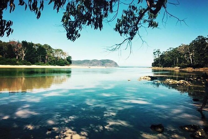 Full-Day Guided Bruny Island Tour from Hobart - Early Ferry Day Trip: How Bruny Fits in a Full 10 Hours from Hobart