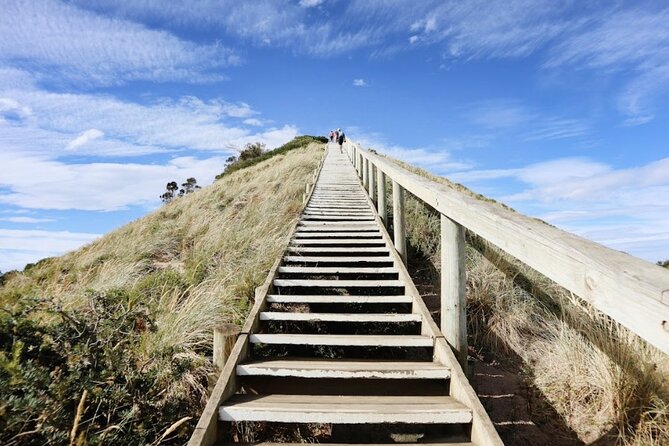 Full-Day Guided Bruny Island Tour from Hobart - Adventure Bay for Beach Time and Coffee Stops