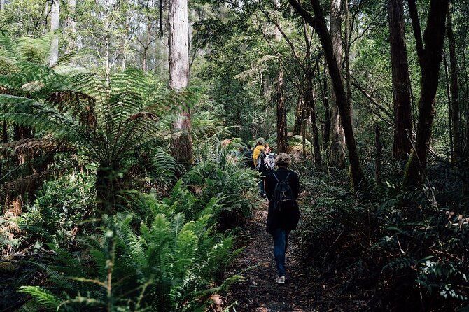 Full-Day Guided Bruny Island Tour from Hobart - What You’re Actually Paying For: Price and Value in Plain Terms