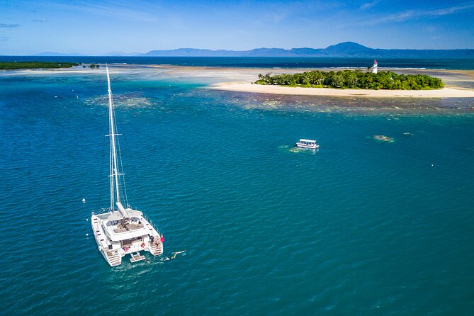 Full Day Low Isles Sailing & Snorkelling Cruise from Port Douglas - Snorkelling and the EV Discovery glass-bottom boat: what you’ll actually see