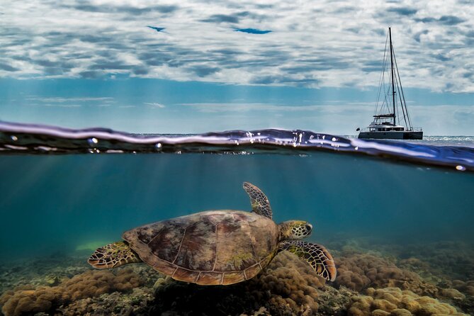 Full Day Low Isles Sailing & Snorkelling Cruise from Port Douglas - Weather, wind, and sea conditions: how to plan so you still have fun