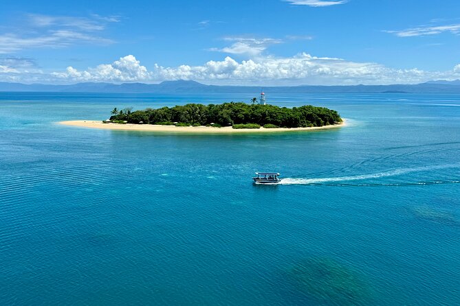 Full Day Low Isles Sailing & Snorkelling Cruise from Port Douglas - Price and value: is $243.86 worth it for a Low Isles reef day?