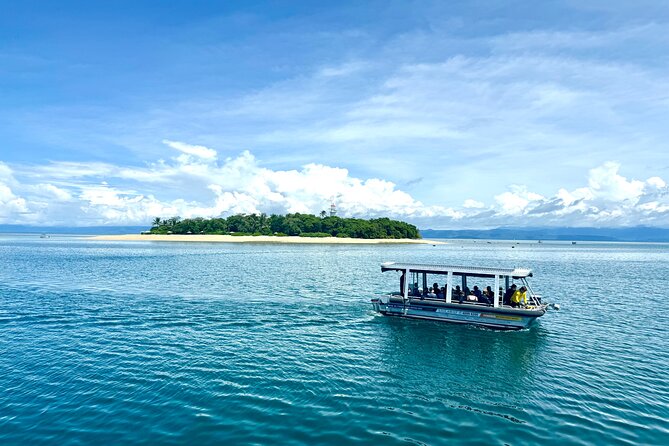 Full Day Low Isles Sailing & Snorkelling Cruise from Port Douglas - Who should book this cruise (and who might want a different plan)?