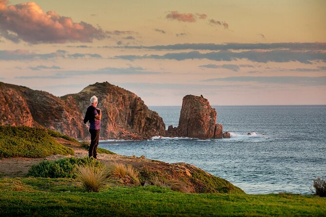 Full-Day Phillip Island Tour with Kangaroo, Koala and Penguin Parade - Cowes and The Nobbies Centre: volcanic rock, fur seals, and viewpoint time