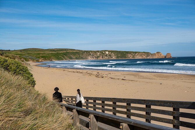 Full-Day Phillip Island Tour with Kangaroo, Koala and Penguin Parade - Penguin Parade at Phillip Island Nature Parks: the timing, the crowds, and what to expect