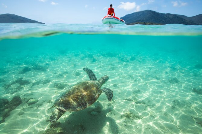 Full-Day Whitsunday Sail and Snorkel Adventure with Lunch - What’s Included vs What You Bring: A Practical Checklist