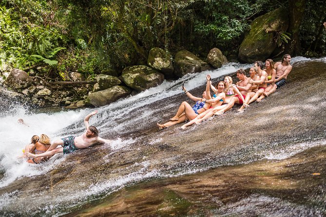 Fun, Falls and Forests Day Trip from Cairns - Key things I’d circle before you go