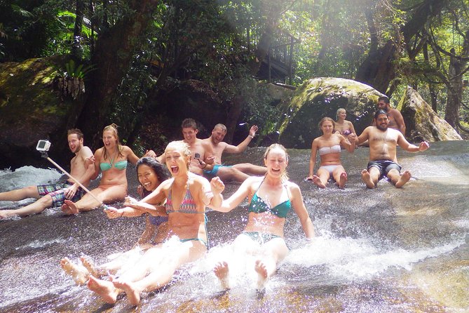 Fun, Falls and Forests Day Trip from Cairns - Lake Eacham Crater Lake: Volcanic Origin and Platypus Chances