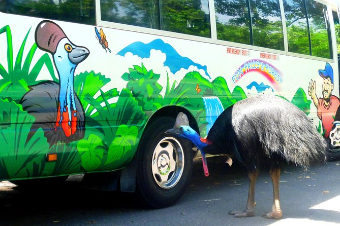 Fun, Falls and Forests Day Trip from Cairns - Food, Drinks, and the Pace: How It Feels in Real Life