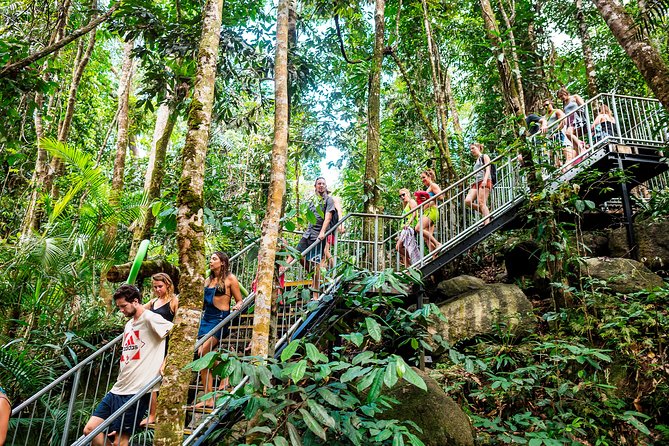 Fun, Falls and Forests Day Trip from Cairns - Price and What $121.21 Buys You (Including Park Fees)