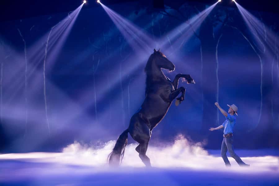 Gold Coast: Australian Outback Spectacular Dinner & Show - Australian Outback Spectacular: a Gold Coast night that runs like a show, not a meal