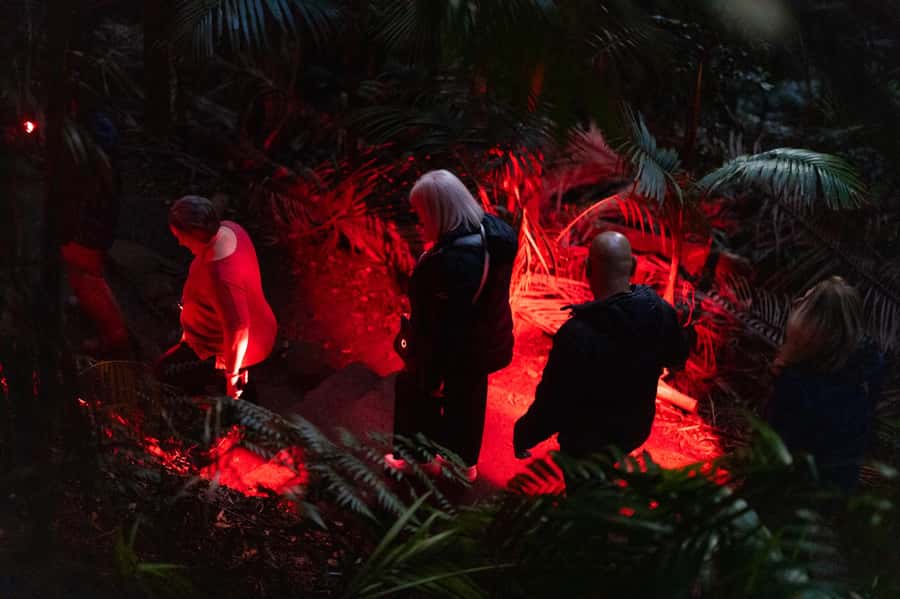 Gold Coast: Evening Rainforest and Glow Worm Experience - Quick Practical Checklist (So You Don’t Miss the Best Parts)