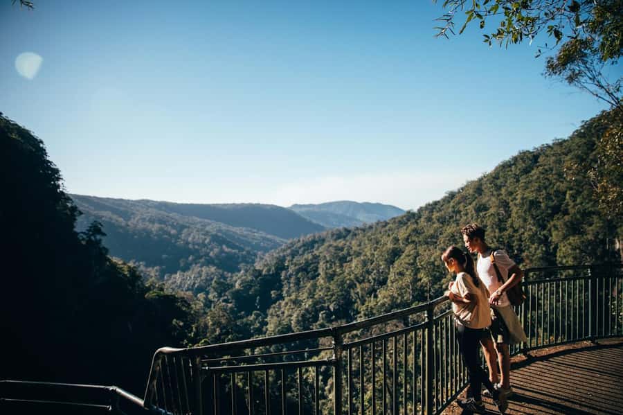 Gold Coast: Natural Bridge & Springbrook Waterfalls Tour - From Surfers Paradise to Springbrook Rainforest fast