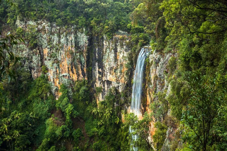 Gold Coast: Natural Bridge & Springbrook Waterfalls Tour - Best of All Lookout: the view that pays off the bus ride