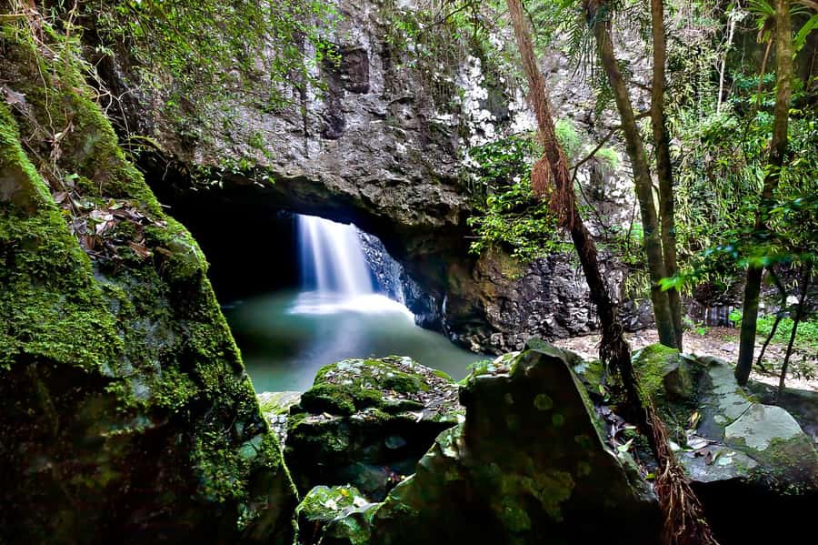 Gold Coast: Natural Bridge & Springbrook Waterfalls Tour - Purling Brook Falls and the multi-waterfall rhythm