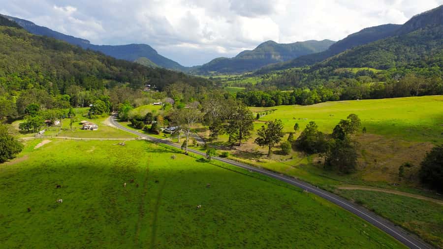Gold Coast: Natural Bridge & Springbrook Waterfalls Tour - How long you’re walking, and why the pace works