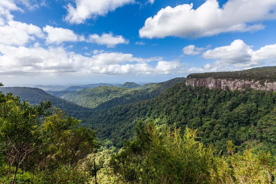 Gold Coast: Natural Bridge & Springbrook Waterfalls Tour - Price and value: what $84 buys you here