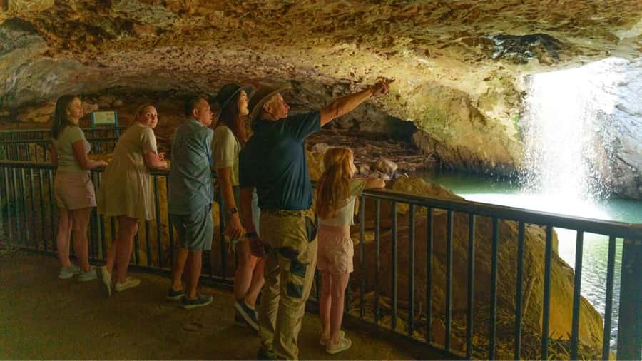 Gold Coast: Natural Bridge & Springbrook Waterfalls Tour - Who this tour fits best