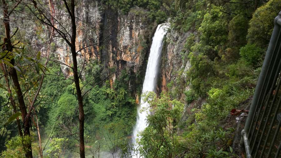 Gold Coast: Natural Bridge & Springbrook Waterfalls Tour - The Natural Bridge walk: rainforest + cave waterfall power