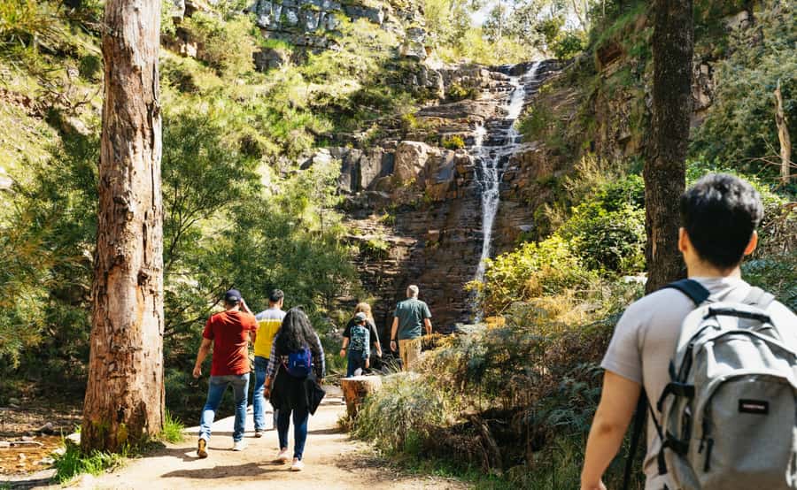 Grampians National Park Small-Group Eco Day Tour - Key highlights worth penciling in