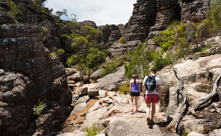 Grampians National Park Small-Group Eco Day Tour - Silverband Falls: a short walk that sets the pace