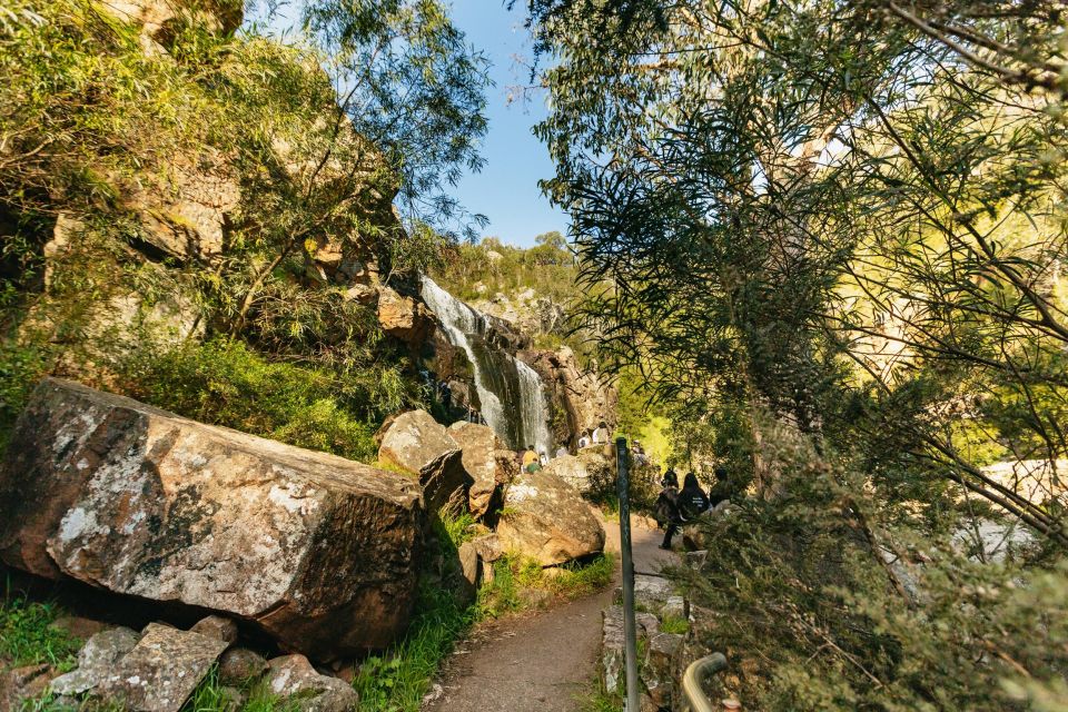 Grampians National Park Small-Group Eco Day Tour - MacKenzie Falls: the main event and the step-count reality