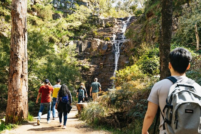 Grampians National Park Small-Group Eco Tour from Melbourne - Key highlights to know before you go