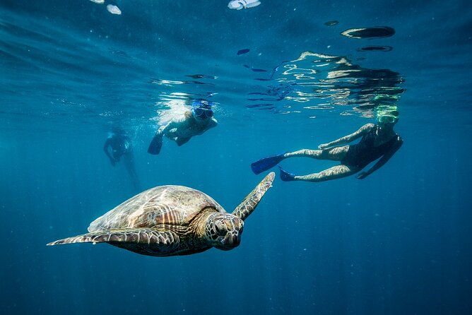 Great Barrier Reef Full Day Adventure - Food, pacing, and crowd flow at Reefworld