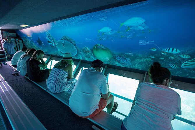 Great Barrier Reef Full Day Adventure - Weather and sea conditions: plan for wind, current, and timing shifts