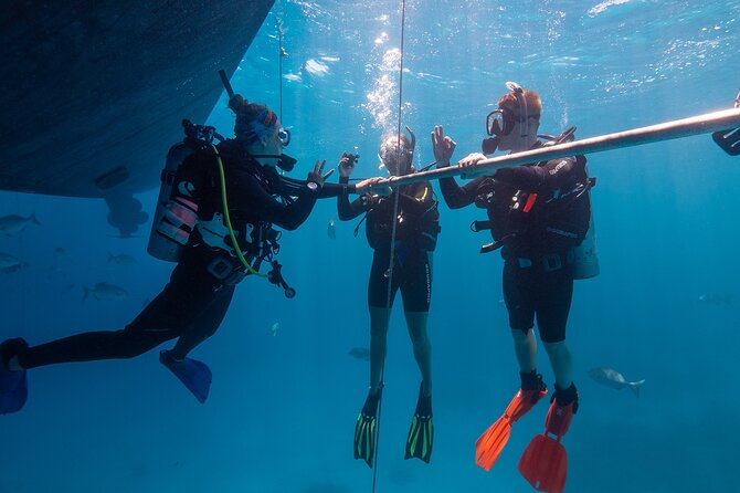 Great Barrier Reef Full Day Tour from Cairns - What the Day Feels Like: A Smooth Flow From Boat to Water