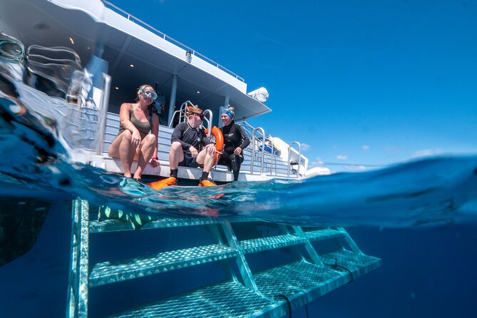 Great Barrier Reef Full Day Tour from Cairns - Food, Snacks, and the Reality of Buffet Lunch
