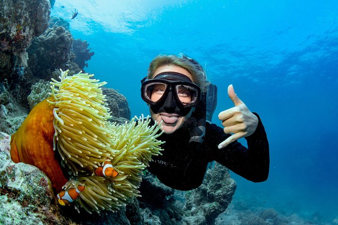 Great Barrier Reef Full Day Tour from Cairns - Safety, Briefings, and Getting Correctly Prepared