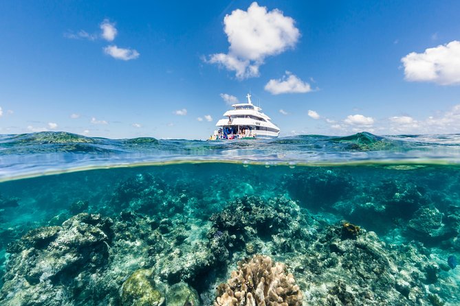 Great Barrier Reef Snorkeling and Diving Cruise from Cairns - Key points before you go