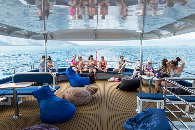 Great Barrier Reef Snorkeling and Diving Cruise from Cairns - Cairns to the Reef: the day’s pace and what you’ll actually do