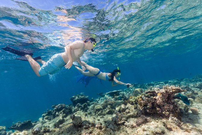 Great Barrier Reef Snorkeling and Diving Cruise from Cairns - Boat comfort, safety vibe, and rough-sea tips for the return ride
