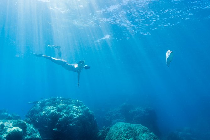 Great Barrier Reef Snorkeling and Diving Cruise from Cairns - Is it worth $190.07? Value for two outer reef stops and included gear