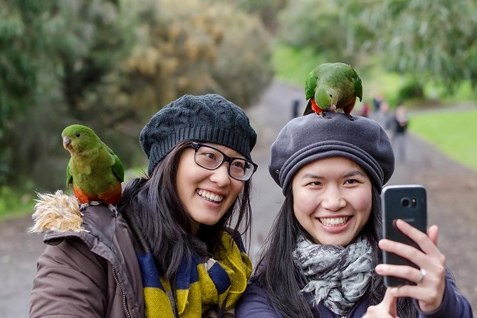 Great Ocean Road, 12 Apostles, Rainforest & Morning Tea-Melbourne - What you’re really paying for with a $107.59 tour