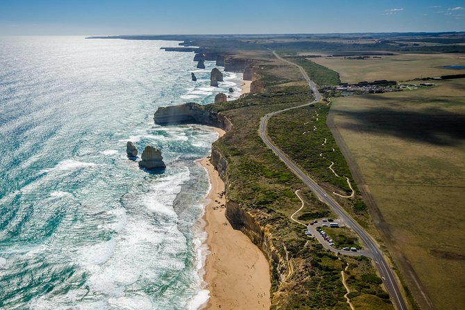 Great Ocean Road 12 Apostles & Rainforest Walk with Morning Tea - Key highlights worth planning around